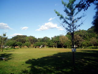 �ܔ��L�����v��